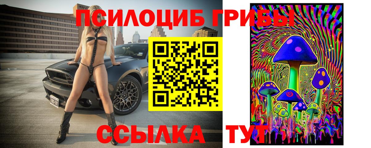 Псилоцибиновые грибы Magic Shrooms  Вход с VPN  Дзержинск  Псилоцибиновые грибы ЛСД 