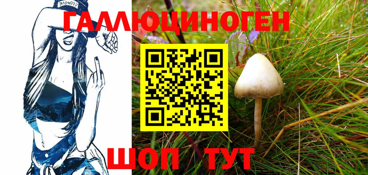 Галлюциногенные грибы Magic Shrooms Дзержинск